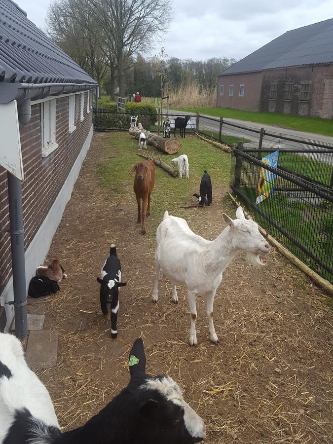De Priesnitzhoeve Laag-Soeren Luaran gambar