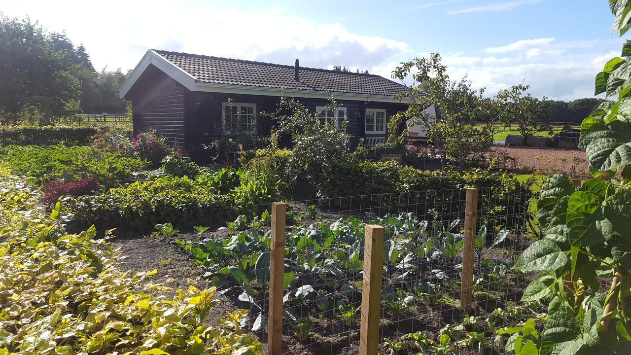De Priesnitzhoeve Laag-Soeren Luaran gambar