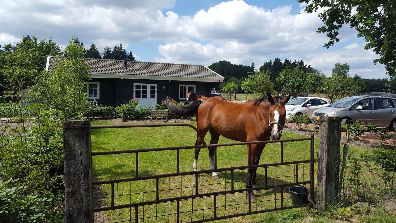 De Priesnitzhoeve Laag-Soeren Luaran gambar
